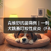 克维舒抗菌病例 | 一例犬跳蚤叮咬性皮炎（FAD）的病例分析 - 新生家伴
