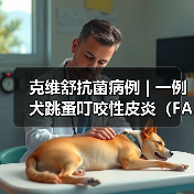 克维舒抗菌病例 | 一例犬跳蚤叮咬性皮炎（FAD）的病例分析(图2)