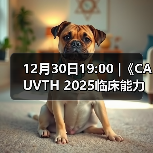 12月30日19:00 |《CAUVTH 2025临床能力提升系列》线上公益课程：如何找到脓包里“飞来”的异物(图3)