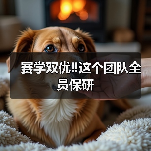 赛学双优‼️这个团队全员保研(图4)
