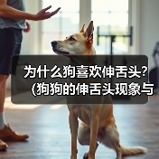 为什么狗喜欢伸舌头？（狗狗的伸舌头现象与温度调节有关） - 新生家伴