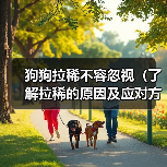 狗狗拉稀不容忽视(了解拉稀的原因及应对方法,)(图3) 狗狗拉稀不容忽视(了解拉稀的原因及应对方法,)(图3)