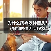 为什么狗喜欢伸舌头？（狗狗的伸舌头现象与温度调节有关）(图2)