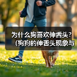 为什么狗喜欢伸舌头？（狗狗的伸舌头现象与温度调节有关）(图3)