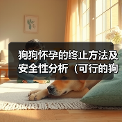 狗狗怀孕的终止方法及安全性分析（可行的狗狗妊娠终止方法及选择 - 新生家伴