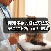 狗狗怀孕的终止方法及安全性分析（可行的狗狗妊娠终止方法及选择）(图4)