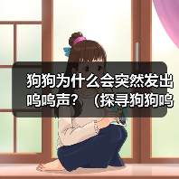 狗狗为什么会突然发出呜呜声？（探寻狗狗呜呜声背后的原因） - 新生家伴