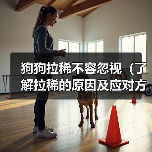 狗狗拉稀不容忽视(了解拉稀的原因及应对方法,)(图2) 狗狗拉稀不容忽视(了解拉稀的原因及应对方法,)(图2)