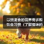 以猫流食的营养需求和饮食习惯(了解猫咪的食物选择和喂养方法,让猫咪健康成长)(图2) 以猫流食的营养需求和饮食习惯(了解猫咪的食物选择和喂养方法,让猫咪健康成长)(图2)