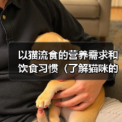 以猫流食的营养需求和饮食习惯(了解猫咪的食物选择和喂养方法,让猫咪健康成长)(图4) 以猫流食的营养需求和饮食习惯(了解猫咪的食物选择和喂养方法,让猫咪健康成长)(图4)