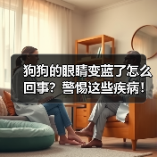 狗狗的眼睛变蓝了怎么回事？警惕这些疾病！(图3)