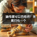 猫传腹可以自愈吗？答案只有一个(图3)