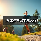 布偶猫不爆毛怎么办？(图2)