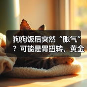 狗狗饭后突然“胀气”？可能是胃扭转，黄金抢救时间仅4小时！(图2)