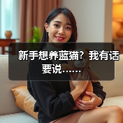 新手想养蓝猫？我有话要说……(图4)