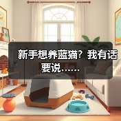 新手想养蓝猫？我有话要说……(图3)