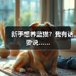 新手想养蓝猫？我有话要说…… - 新生家伴