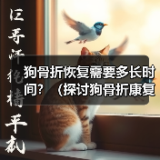 狗骨折恢复需要多长时间?(探讨狗骨折康复的时间和步骤)(图2) 狗骨折恢复需要多长时间?(探讨狗骨折康复的时间和步骤)(图2)