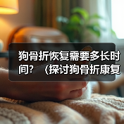 狗骨折恢复需要多长时间？（探讨狗骨折康复的时间和步骤） - 新生家伴