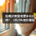 狗骨折恢复需要多长时间?(探讨狗骨折康复的时间和步骤)(图4) 狗骨折恢复需要多长时间?(探讨狗骨折康复的时间和步骤)(图4)