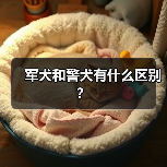 军犬和警犬有什么区别？ - 新生家伴