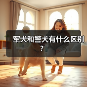军犬和警犬有什么区别?(图3) 军犬和警犬有什么区别?(图3)