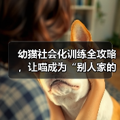 幼猫社会化训练全攻略,让喵成为“别人家的孩子”(图2) 幼猫社会化训练全攻略,让喵成为“别人家的孩子”(图2)