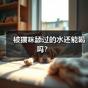 被猫咪舔过的水还能喝吗？(图2)