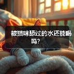 被猫咪舔过的水还能喝吗？ - 新生家伴