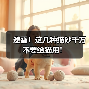 避雷！这几种猫砂千万不要给猫用！ - 新生家伴