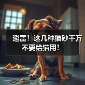 避雷!这几种猫砂千万不要给猫用!(图3) 避雷!这几种猫砂千万不要给猫用!(图3)