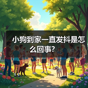 小狗到家一直发抖是怎么回事？ - 新生家伴