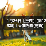 1月26日【重庆】(第125期)丨犬猫外科(高阶)班！含SUB(人人可实操)、乳糜胸等技术！(图2)