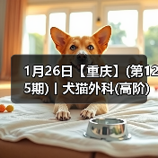 1月26日【重庆】(第125期)丨犬猫外科(高阶)班！含SUB(人人可实操)、乳糜胸等技术！(图4)