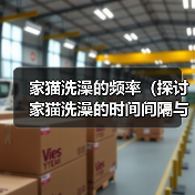 家猫洗澡的频率(探讨家猫洗澡的时间间隔与方法,)(图4) 家猫洗澡的频率(探讨家猫洗澡的时间间隔与方法,)(图4)