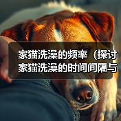 家猫洗澡的频率(探讨家猫洗澡的时间间隔与方法,)(图2) 家猫洗澡的频率(探讨家猫洗澡的时间间隔与方法,)(图2)