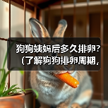 狗狗姨妈后多久排卵？（了解狗狗排卵周期，细心呵护你的宠物） - 新生家伴