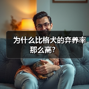 为什么比格犬的弃养率那么高？ - 新生家伴