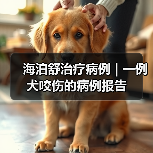 海泊舒治疗病例 | 一例犬咬伤的病例报告 - 新生家伴