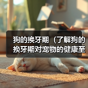 狗的换牙期（了解狗的换牙期对宠物的健康至关重要） - 新生家伴