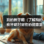 狗的换牙期(了解狗的换牙期对宠物的健康至关重要)(图2) 狗的换牙期(了解狗的换牙期对宠物的健康至关重要)(图2)