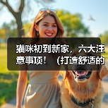 猫咪初到新家,六大注意事项!(打造舒适的新家,让猫咪快乐成长)(图3) 猫咪初到新家,六大注意事项!(打造舒适的新家,让猫咪快乐成长)(图3)