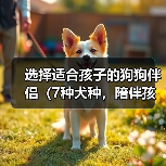 选择适合孩子的狗狗伴侣(7种犬种,陪伴孩子成长的理想选择)(图3) 选择适合孩子的狗狗伴侣(7种犬种,陪伴孩子成长的理想选择)(图3)