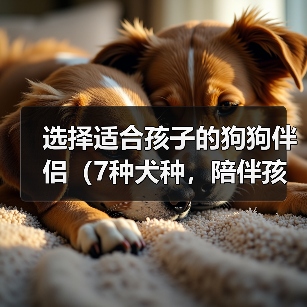 选择适合孩子的狗狗伴侣(7种犬种,陪伴孩子成长的理想选择)(图4) 选择适合孩子的狗狗伴侣(7种犬种,陪伴孩子成长的理想选择)(图4)