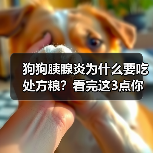 狗狗胰腺炎为什么要吃处方粮？看完这3点你就懂了(图3)