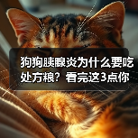 狗狗胰腺炎为什么要吃处方粮？看完这3点你就懂了 - 新生家伴