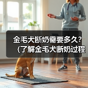 金毛犬断奶需要多久?(了解金毛犬断奶过程及时间长度的关键因素)(图4) 金毛犬断奶需要多久?(了解金毛犬断奶过程及时间长度的关键因素)(图4)