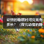 幼猫的睡眠时间究竟有多长？（探究幼猫的睡眠习惯和睡眠时间的变 - 新生家伴