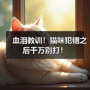 血泪教训!猫咪犯错之后千万别打!(图3) 血泪教训!猫咪犯错之后千万别打!(图3)