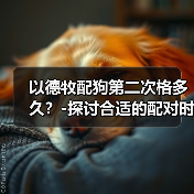 以德牧配狗第二次格多久？-探讨合适的配对时间（探索以德牧配狗 - 新生家伴